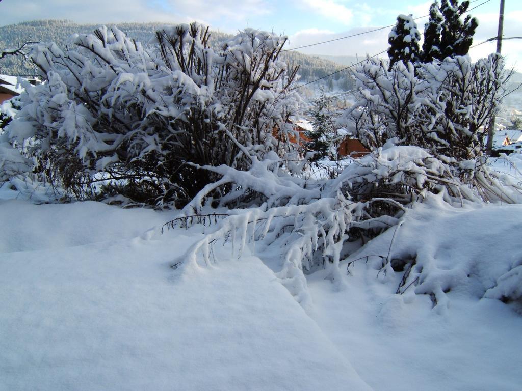 B&B Chalet L'Epinette Gerardmer Luaran gambar