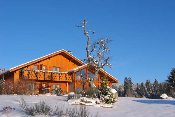 B&B Chalet L'Epinette Gerardmer Luaran gambar