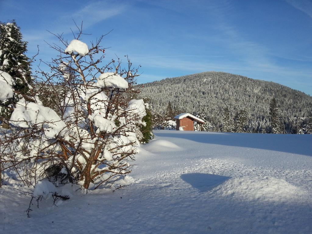 B&B Chalet L'Epinette Gerardmer Luaran gambar
