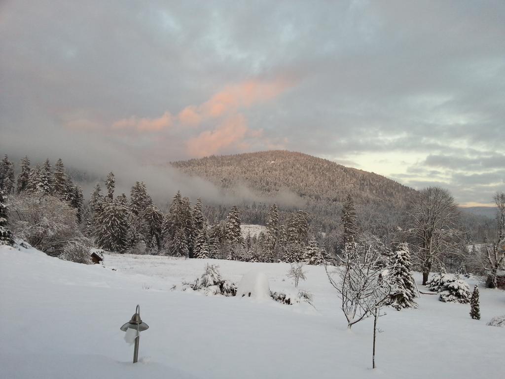 B&B Chalet L'Epinette Gerardmer Luaran gambar