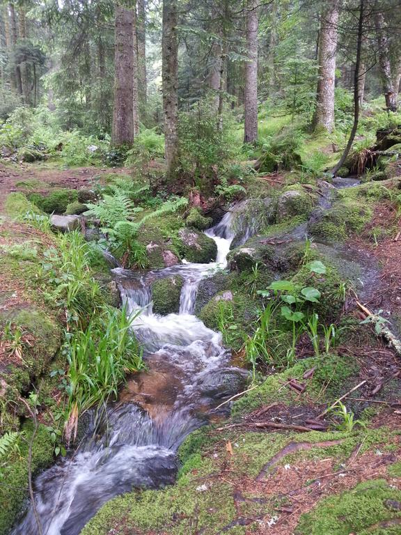 B&B Chalet L'Epinette Gerardmer Luaran gambar