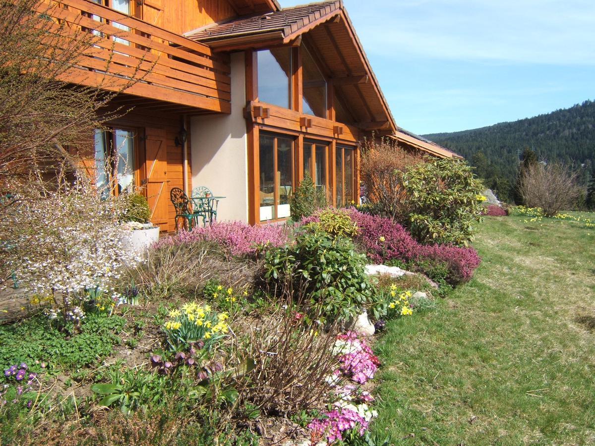 B&B Chalet L'Epinette Gerardmer Luaran gambar